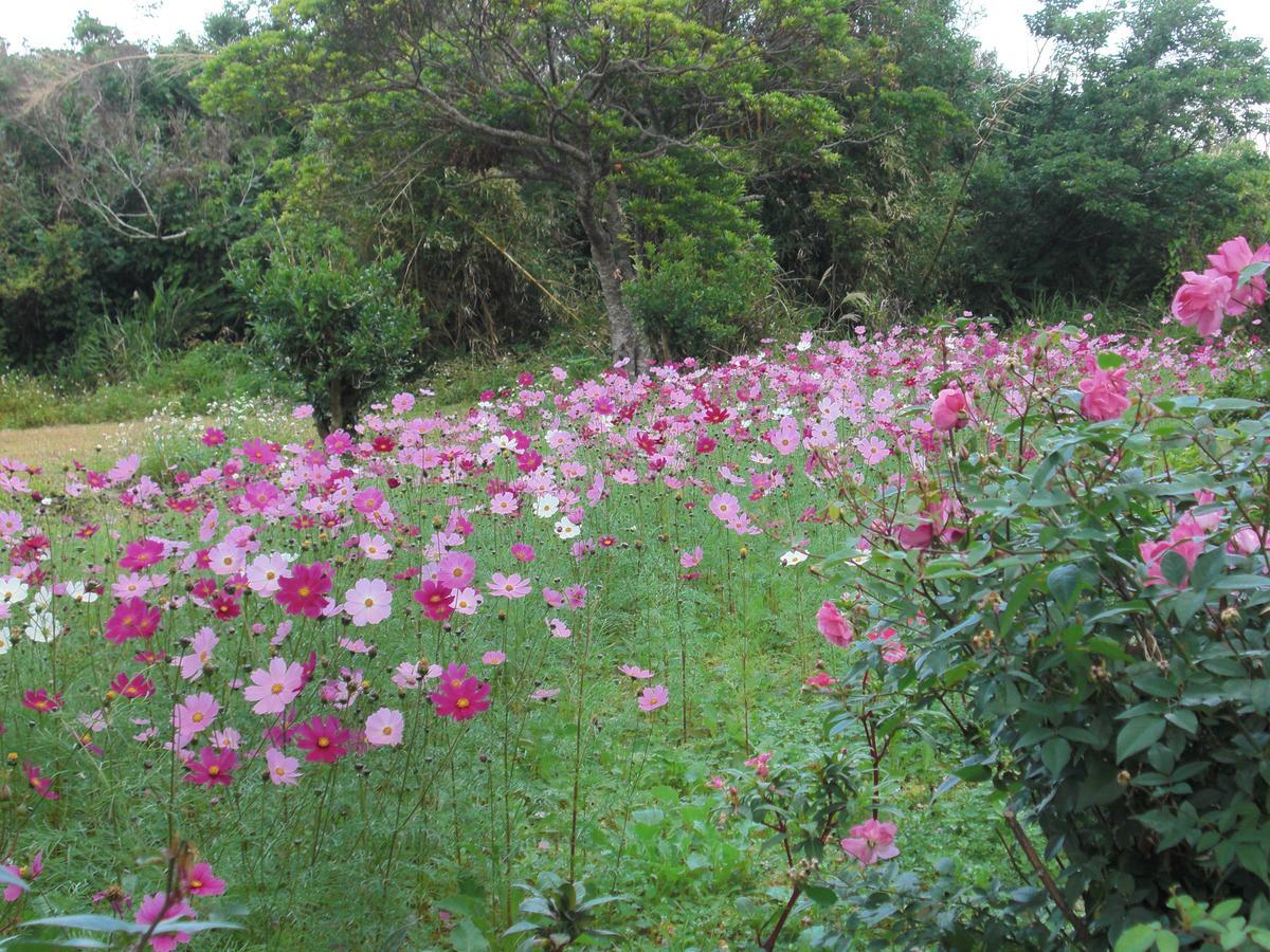 Matayoshi Coffee Farm Vila Higashi Exterior foto