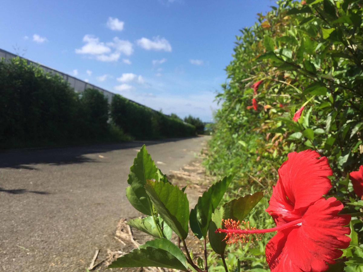 Matayoshi Coffee Farm Vila Higashi Exterior foto